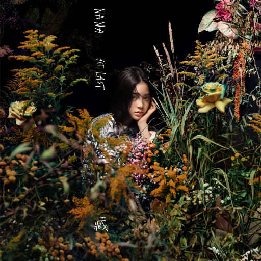 特黄特色一级片视频
